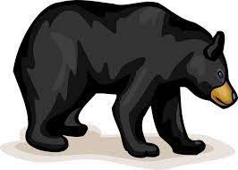 black bear cartoon