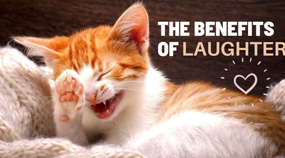 The Benefits of Laughter & Humor